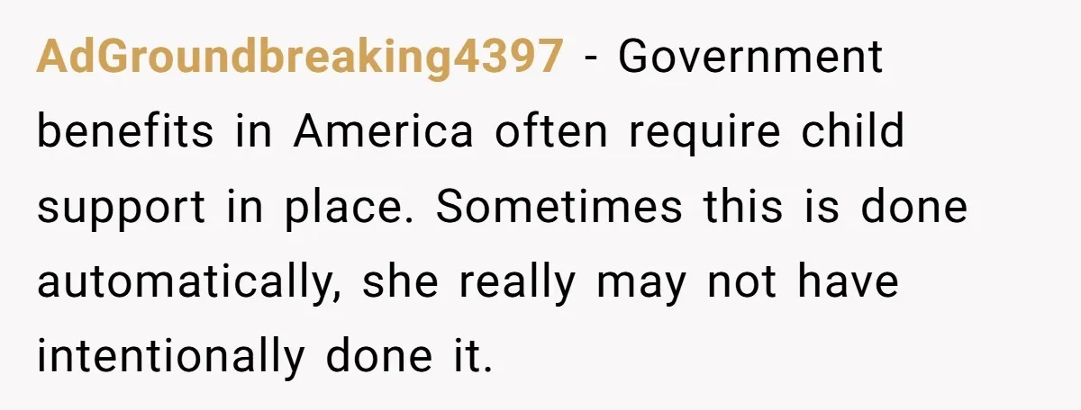 AdGroundbreaking4397 − Government benefits in America often require child support in place. Sometimes this is done automatically, she really may not have intentionally done it.