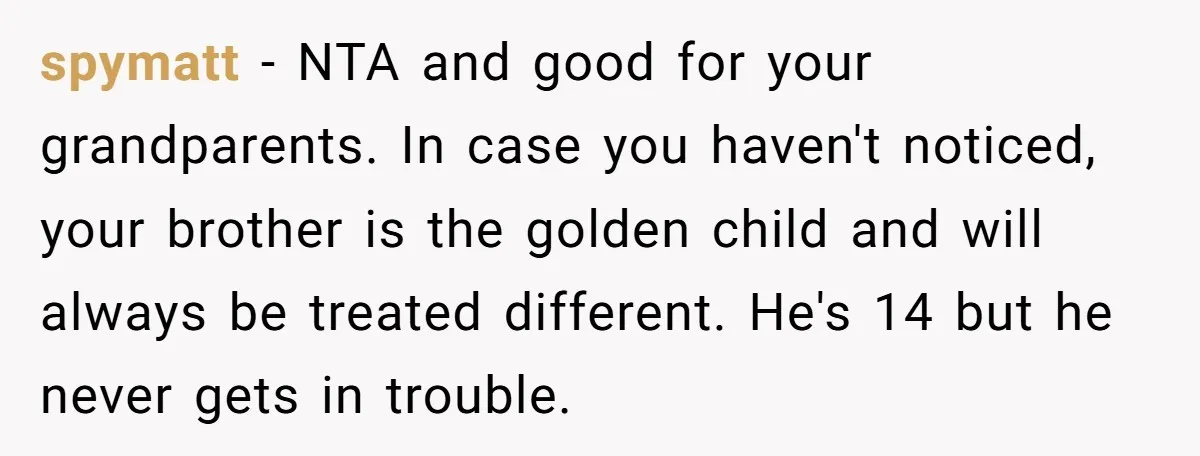spymatt − NTA and good for your grandparents. In case you haven't noticed, your brother is the golden child and will always be treated different. He's 14 but he never...