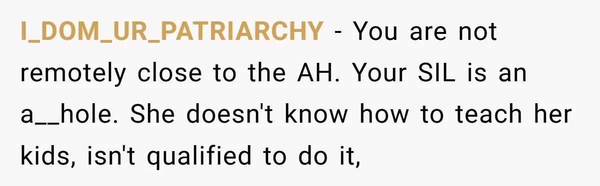 I_DOM_UR_PATRIARCHY − You are not remotely close to the AH. Your SIL is an a__hole. She doesn't know how to teach her kids, isn't qualified to do it,