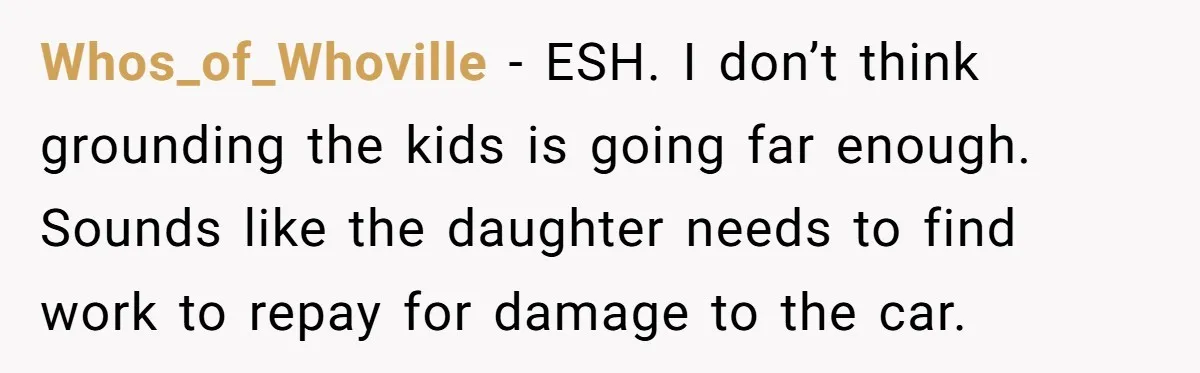 Whos_of_Whoville − ESH. I don’t think grounding the kids is going far enough. Sounds like the daughter needs to find work to repay for damage to the car.