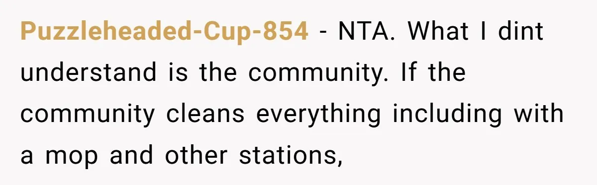 Puzzleheaded-Cup-854 − NTA. What I dint understand is the community. If the community cleans everything including with a mop and other stations,