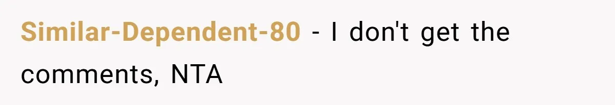 Similar-Dependent-80 − I don't get the comments, NTA