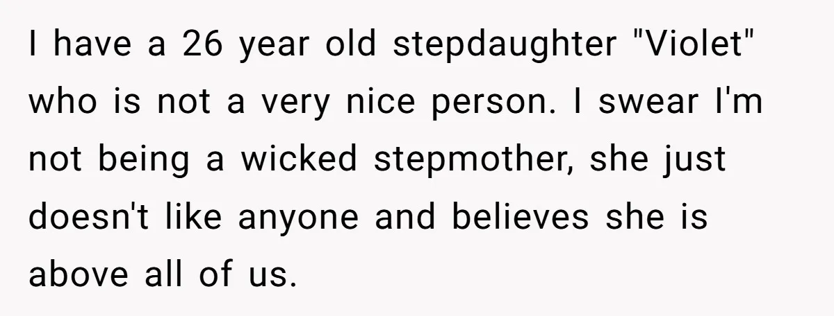 I have a 26 year old stepdaughter "Violet" who is not a very nice person. I swear I'm not being a wicked stepmother, she just doesn't like anyone and believes...