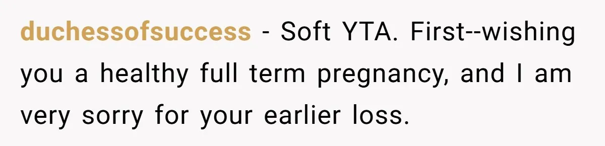 duchessofsuccess − Soft YTA. First--wishing you a healthy full term pregnancy, and I am very sorry for your earlier loss.