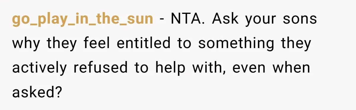 go_play_in_the_sun - NTA. Ask your sons why they feel entitled to something they actively refused to help with, even when asked?