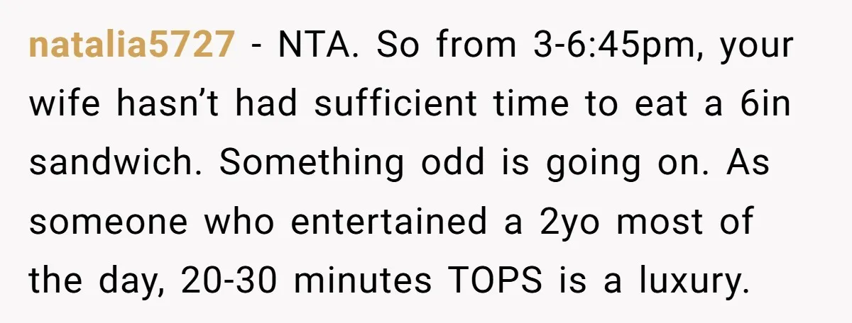 natalia5727 − NTA. So from 3-6:45pm, your wife hasn’t had sufficient time to eat a 6in sandwich. Something odd is going on. As someone who entertained a 2yo most of...