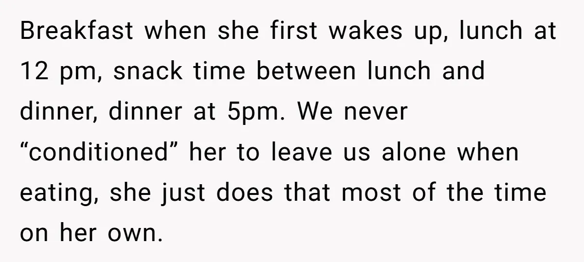 Breakfast when she first wakes up, lunch at 12 pm, snack time between lunch and dinner, dinner at 5pm. We never “conditioned” her to leave us alone when eating, she...