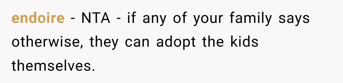 endoire − NTA - if any of your family says otherwise, they can adopt the kids themselves.