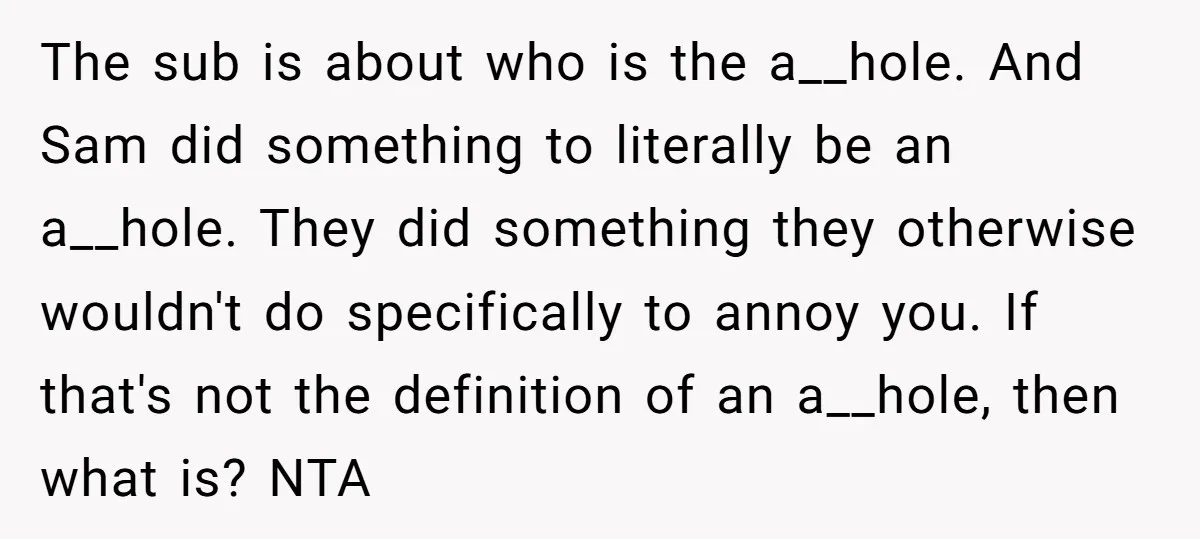 The sub is about who is the a__hole. And Sam did something to literally be an a__hole. They did something they otherwise wouldn't do specifically to annoy you. If that's...