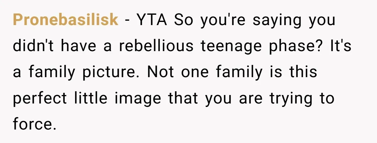 Pronebasilisk − YTA So you're saying you didn't have a rebellious teenage phase? It's a family picture. Not one family is this perfect little image that you are trying to...