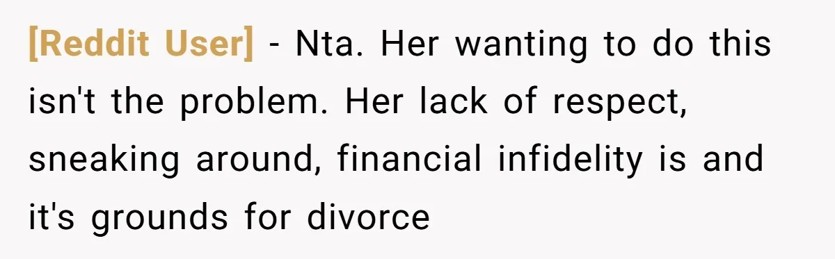 [Reddit User] - Nta. Her wanting to do this isn't the problem. Her lack of respect, sneaking around, financial infidelity is and it's grounds for divorce