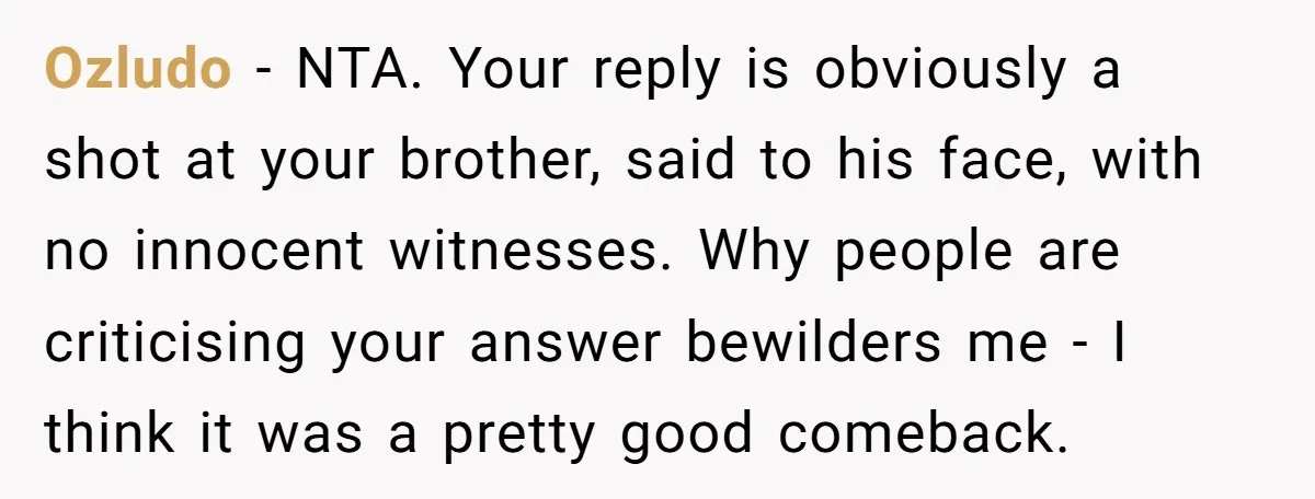 Ozludo − NTA. Your reply is obviously a shot at your brother, said to his face, with no innocent witnesses. Why people are criticising your answer bewilders me - I...