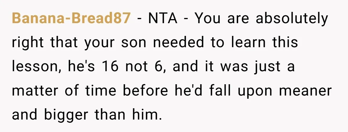 Banana-Bread87 - NTA - You are absolutely right that your son needed to learn this lesson, he's 16 not 6, and it was just a matter of time before he'd...