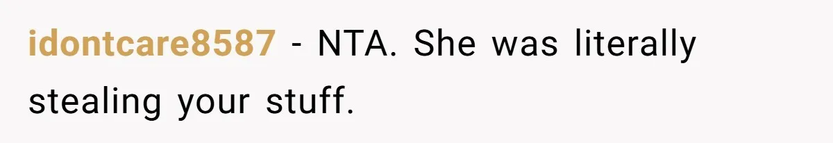idontcare8587 - NTA. She was literally stealing your stuff.