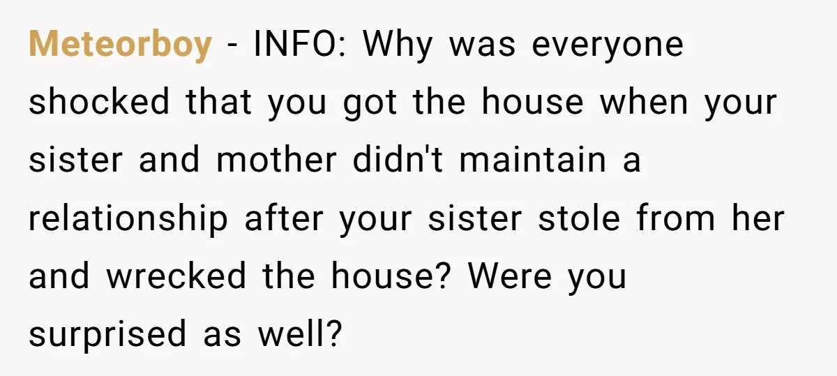 Meteorboy − INFO: Why was everyone shocked that you got the house when your sister and mother didn't maintain a relationship after your sister stole from her and wrecked the...