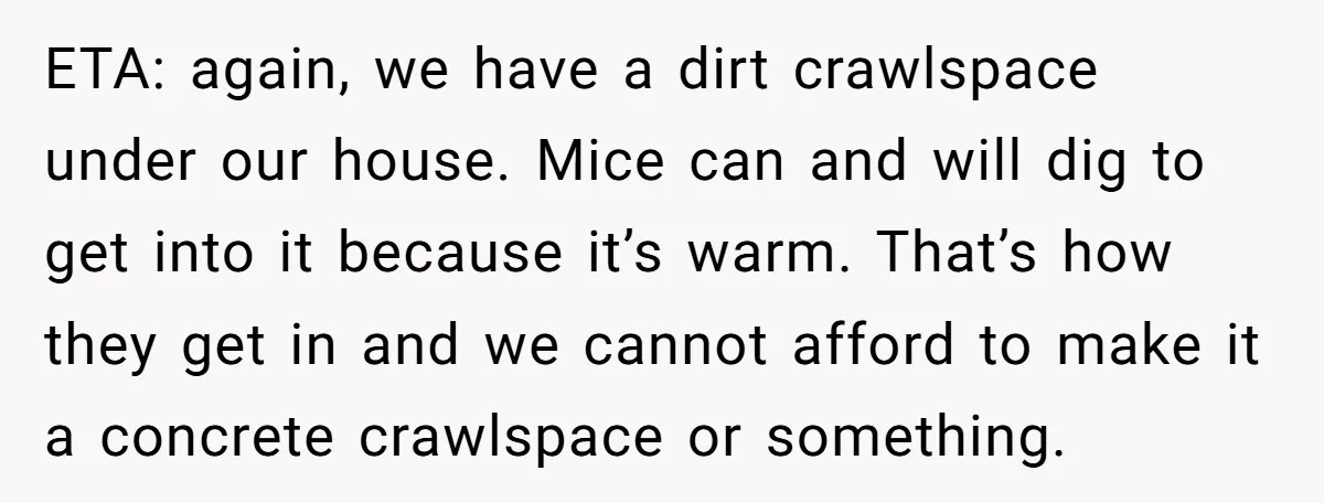 ETA: again, we have a dirt crawlspace under our house. Mice can and will dig to get into it because it’s warm. That’s how they get in and we cannot...