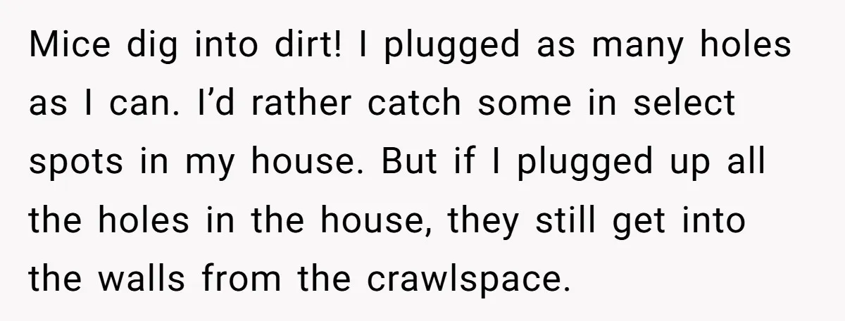 Mice dig into dirt! I plugged as many holes as I can. I’d rather catch some in select spots in my house. But if I plugged up all the holes...
