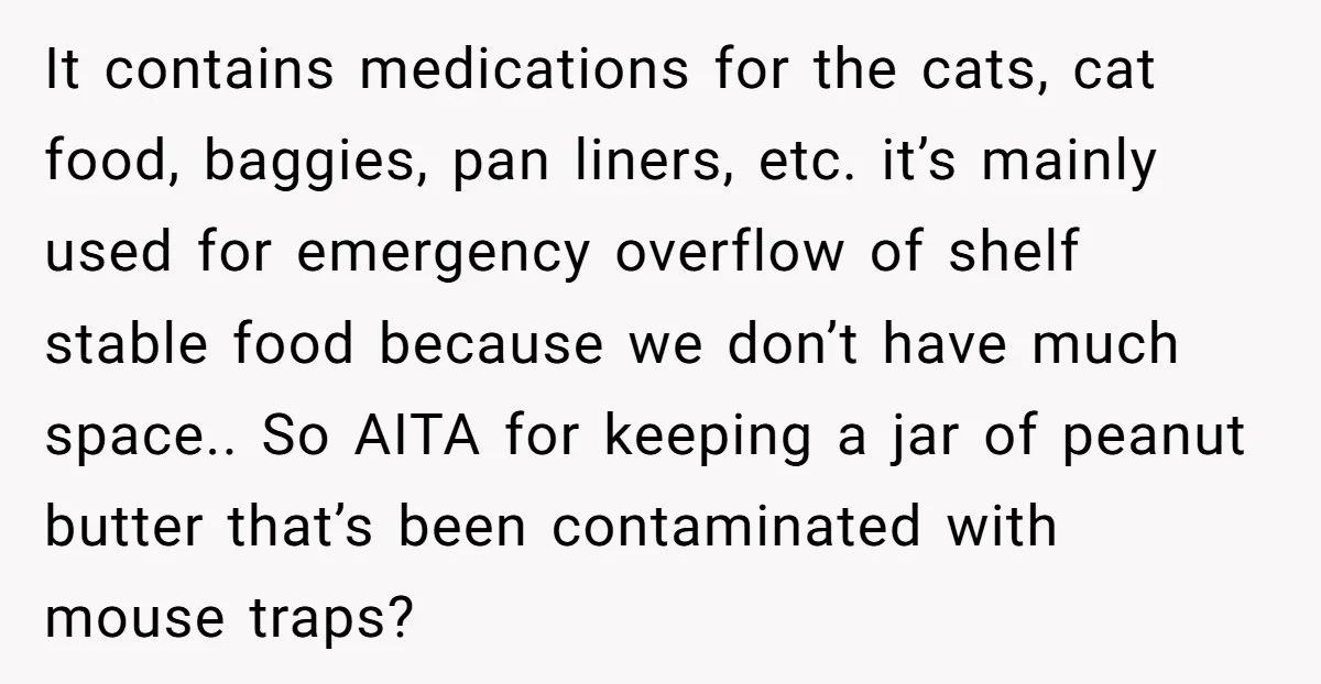 It contains medications for the cats, cat food, baggies, pan liners, etc. it’s mainly used for emergency overflow of shelf stable food because we don’t have much space.. So AITA...