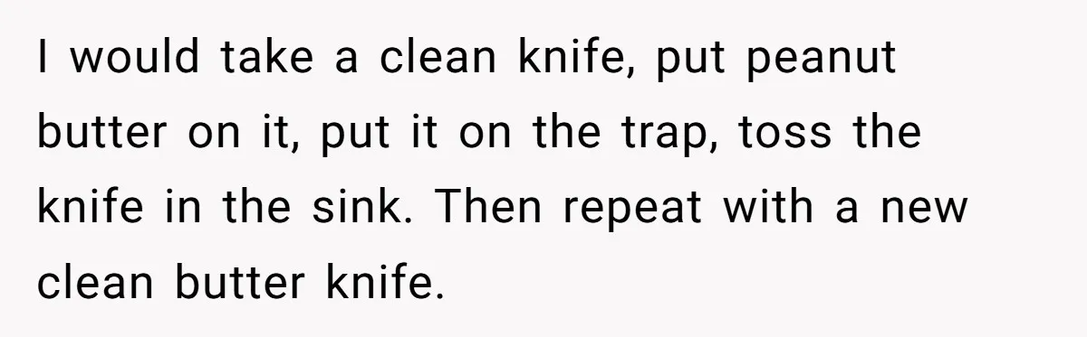 I would take a clean knife, put peanut butter on it, put it on the trap, toss the knife in the sink. Then repeat with a new clean butter knife.