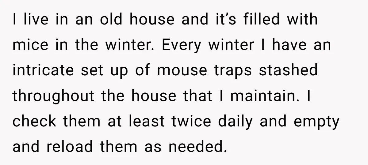 I live in an old house and it’s filled with mice in the winter. Every winter I have an intricate set up of mouse traps stashed throughout the house that...