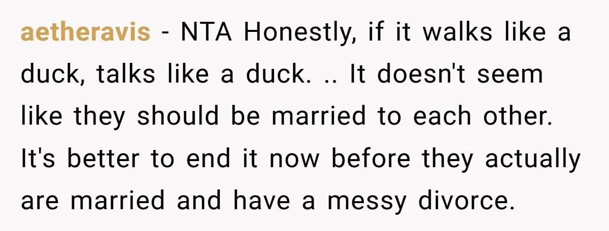 aetheravis − NTA Honestly, if it walks like a duck, talks like a duck. .. It doesn't seem like they should be married to each other. It's better to end...
