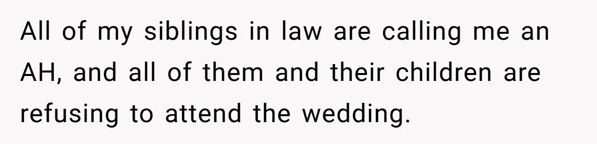 All of my siblings in law are calling me an AH, and all of them and their children are refusing to attend the wedding.