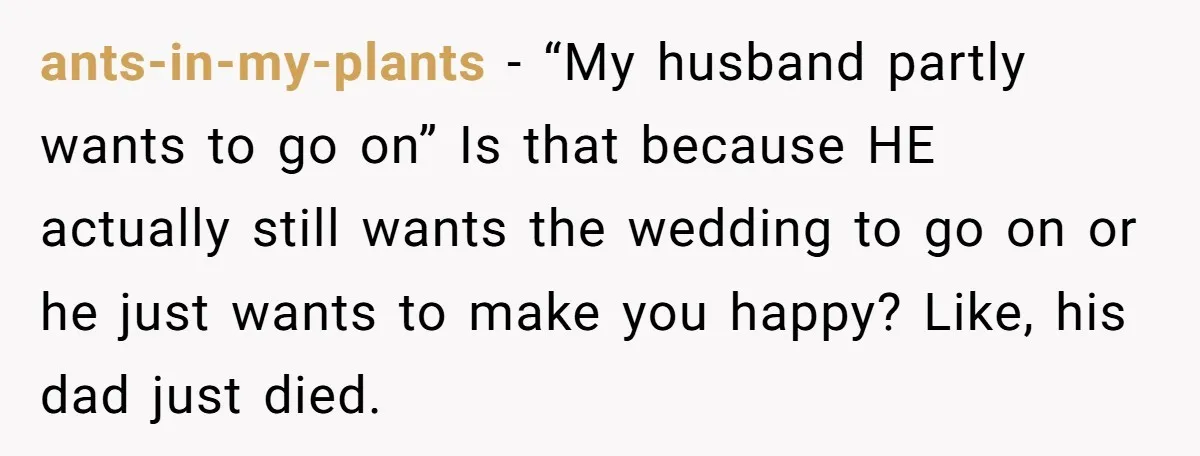 ants-in-my-plants − “My husband partly wants to go on” Is that because HE actually still wants the wedding to go on or he just wants to make you happy? Like,...