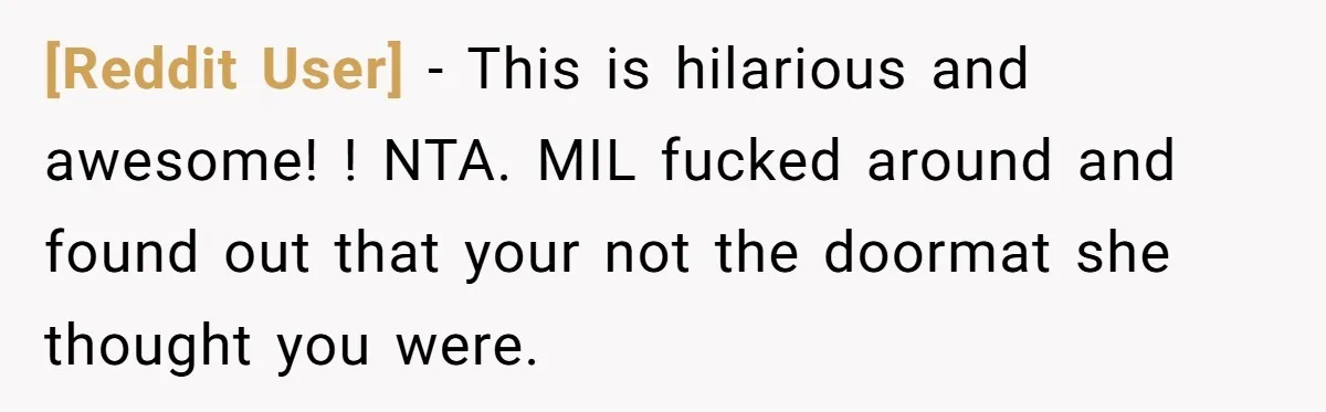 [Reddit User] − This is hilarious and awesome! ! NTA. MIL fucked around and found out that your not the doormat she thought you were.