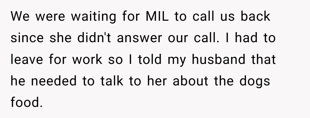 We were waiting for MIL to call us back since she didn't answer our call. I had to leave for work so I told my husband that he needed to...