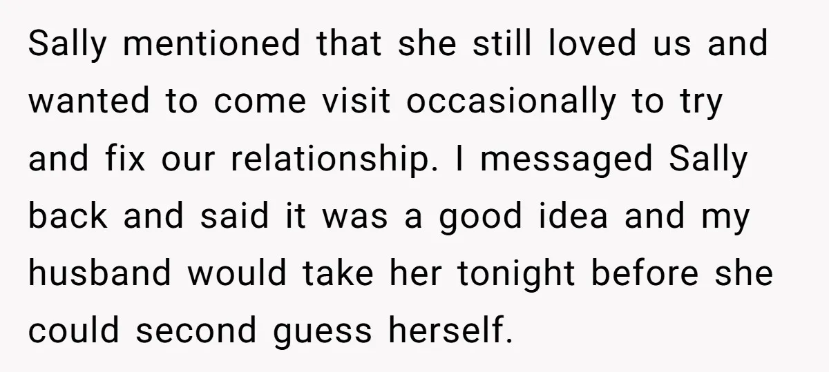 Sally mentioned that she still loved us and wanted to come visit occasionally to try and fix our relationship. I messaged Sally back and said it was a good idea...