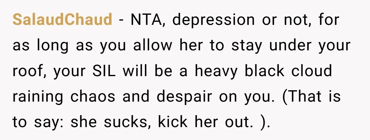 SalaudChaud − NTA, depression or not, for as long as you allow her to stay under your roof, your SIL will be a heavy black cloud raining chaos and despair...