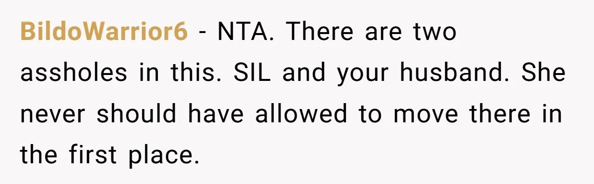 BildoWarrior6 − NTA. There are two assholes in this. SIL and your husband. She never should have allowed to move there in the first place.