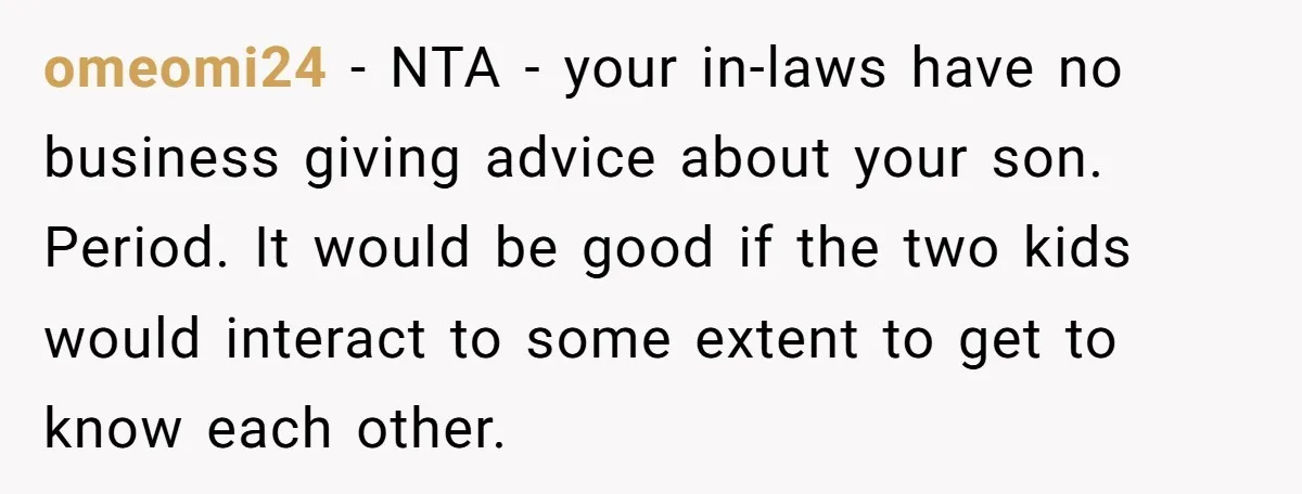 omeomi24 − NTA - your in-laws have no business giving advice about your son. Period. It would be good if the two kids would interact to some extent to get...