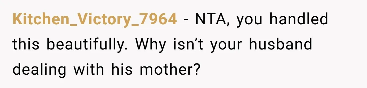 Kitchen_Victory_7964 − NTA, you handled this beautifully. Why isn’t your husband dealing with his mother?