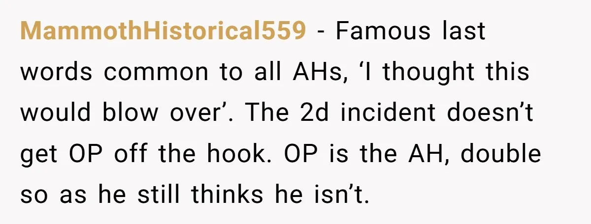 MammothHistorical559 − Famous last words common to all AHs, ‘I thought this would blow over’. The 2d incident doesn’t get OP off the hook. OP is the AH, double so...