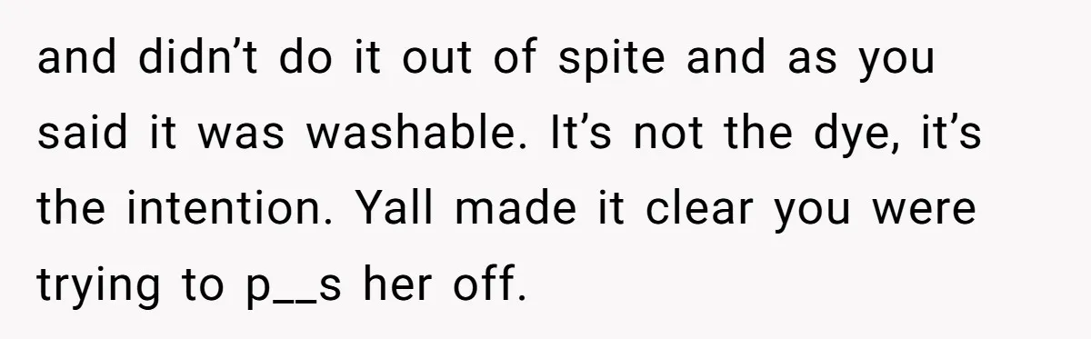 and didn’t do it out of spite and as you said it was washable. It’s not the dye, it’s the intention. Yall made it clear you were trying to p__s...