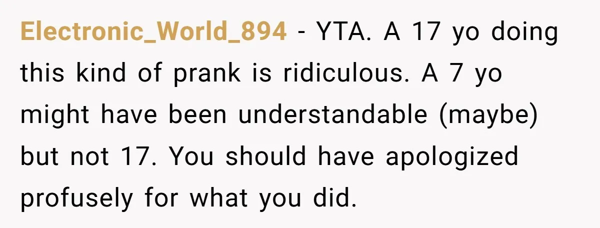 Electronic_World_894 − YTA. A 17 yo doing this kind of prank is ridiculous. A 7 yo might have been understandable (maybe) but not 17. You should have apologized profusely for...