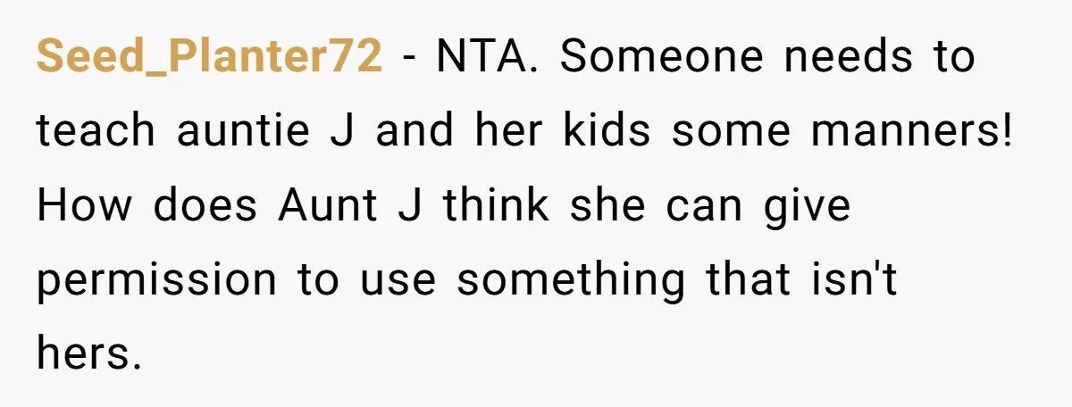 Seed_Planter72 − NTA. Someone needs to teach auntie J and her kids some manners! How does Aunt J think she can give permission to use something that isn't hers.