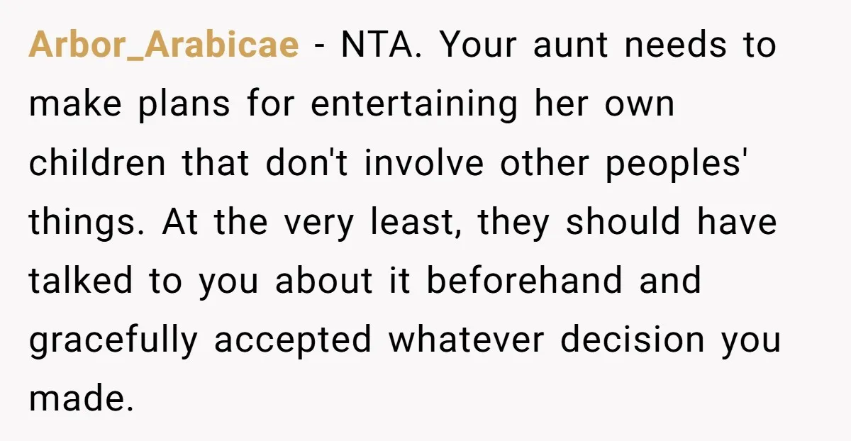 Arbor_Arabicae − NTA. Your aunt needs to make plans for entertaining her own children that don't involve other peoples' things. At the very least, they should have talked to you...