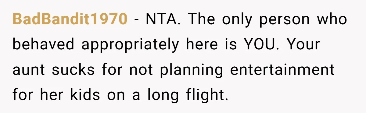 BadBandit1970 − NTA. The only person who behaved appropriately here is YOU. Your aunt sucks for not planning entertainment for her kids on a long flight.