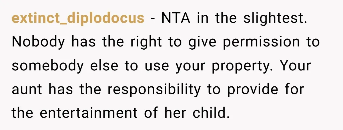 extinct_diplodocus − NTA in the slightest. Nobody has the right to give permission to somebody else to use your property. Your aunt has the responsibility to provide for the entertainment...