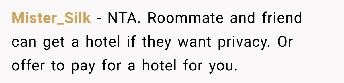 Mister_Silk − NTA. Roommate and friend can get a hotel if they want privacy. Or offer to pay for a hotel for you.