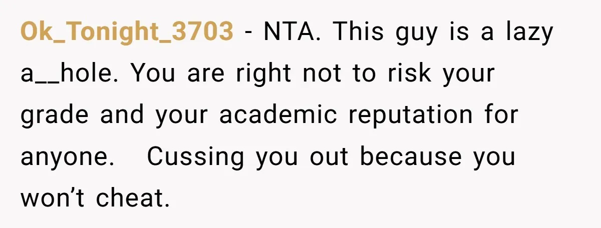 Ok_Tonight_3703 - NTA. This guy is a lazy a__hole. You are right not to risk your grade and your academic reputation for anyone.   Cussing you out because you won’t cheat.