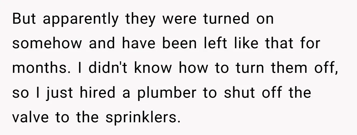 But apparently they were turned on somehow and have been left like that for months. I didn't know how to turn them off, so I just hired a plumber to...