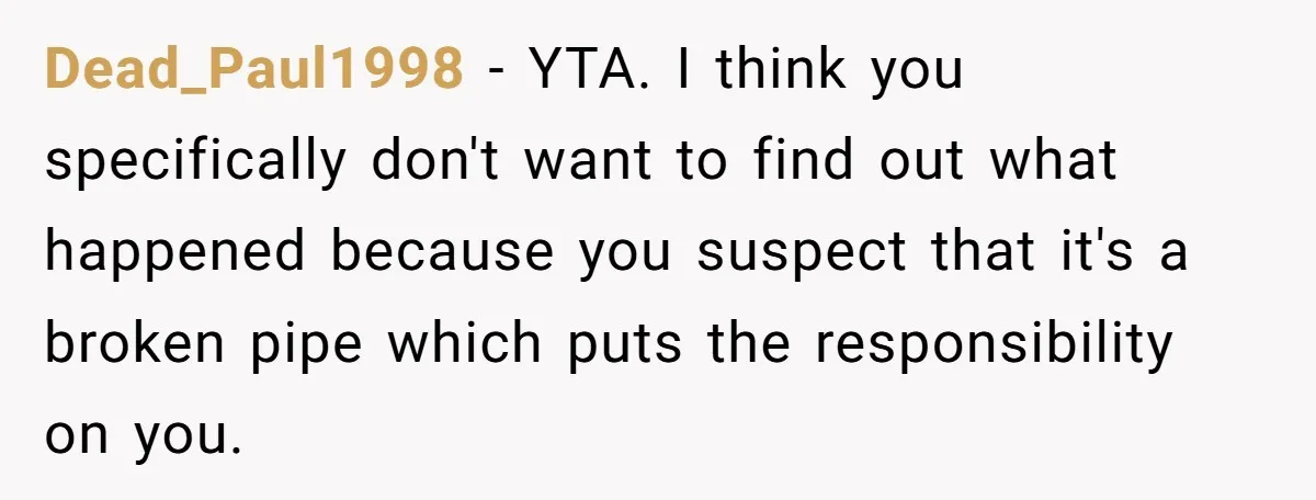 Dead_Paul1998 − YTA. I think you specifically don't want to find out what happened because you suspect that it's a broken pipe which puts the responsibility on you.