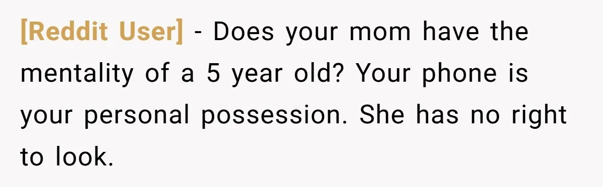 [Reddit User] − Does your mom have the mentality of a 5 year old? Your phone is your personal possession. She has no right to look.