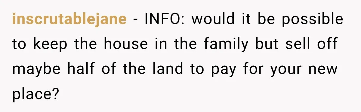 inscrutablejane − INFO: would it be possible to keep the house in the family but sell off maybe half of the land to pay for your new place?