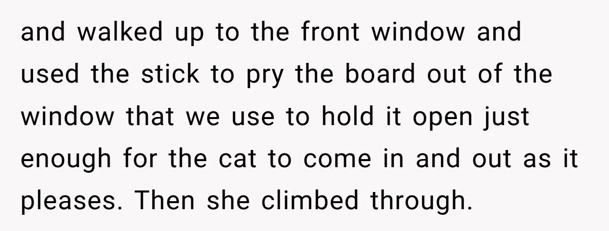 and walked up to the front window and used the stick to pry the board out of the window that we use to hold it open just enough for the...