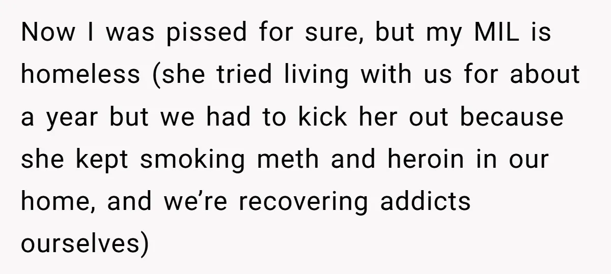 Now I was pissed for sure, but my MIL is homeless (she tried living with us for about a year but we had to kick her out because she kept...