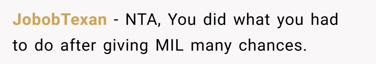 JobobTexan − NTA, You did what you had to do after giving MIL many chances.